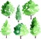 Set of different deciduous trees