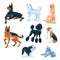 set of different dogs. Breeding of pets, adoption, sale