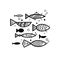 Set of different doodle fish with boho pattern and bubbles. School of fish. Vector lagoon object