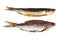 Set of different dried and smoked fishes on white background