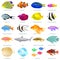 A set of different fish, colorful three-dimensional, vector