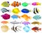 Set of different fish, three-dimensional realistic, vector illustration