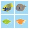 Set Of Different Fishes Isolated On Background