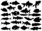 Set of different fishes silhouette vector art on a white background