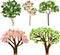 Set of different flowering fruit trees