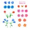 Set of different flowers isolated on white. Poppies, tulips, roses,lilies,cornflowers,blue bells and other