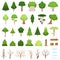 Set of different forest, tropical and dry trees, bushes, stumps, logs and clouds. Vector illustration