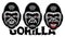 A set of different gorilla. Vector color illustration. Templates for design, tattoo, print, advertising poster