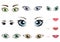 Set of different human eyes, eyebrows, noses and