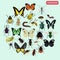Set of different insects color flat icons set