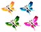 Set of different multicolored butterflies.