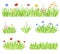 Set of different natural garden flowers in the grass. Fresh garden flower beds on a white background. Vector illustration