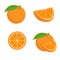 A set of different oranges, whole and cut