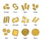 Set of different Pasta types for menu or package design.