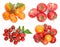 Set with different piles ripe tomatoes on white background, top view