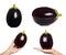 set of different purple fresh organic eggplant with hand, isolated on white background