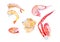 Set of different seafood. Shrimps, lobster,crayfish,scallops, king crab claws. Watercolor illustration isolated on white