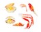 Set of different seafood. Trout, shrimp, scallops, king crab claws. Watercolor illustration isolated on white background