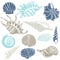 Set of different seashells silhouettes. Marine dwellers