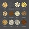 Set of different seeds and graines vector illustration