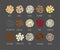 Set of different seeds and grains vector illustration isolated on gray background.