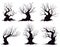 Set of different silhouettes of fantasy trees isolated on white background