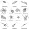 Set of different single-celled eukaryote Protozoas, black and white vector illustration