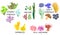 Set of different species of corals, sea anemones, sponges, marine algae on white background