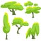 A set of different species of trees and shrubs in a flat style. Vector illustration deciduous and coniferous trees