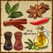 Set of different spices of the chef and foodie