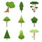 Set of different trees oak, sequoia, spruce, pine, cedar, maple, linden. Vector illustration. Isolated on white background