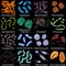 Set of different types of bacterias on black background, vector illustration