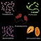 Set of different types of bacterias of human microbiome on black background, vector illustration