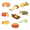 Set of different types of fresh cheese vector illustration