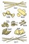 A set of different types of pasta in colored hand-drawing lines