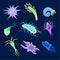 Set of different types of plankton. Vector illustration on black background.