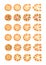 Set with different varieties of pizza. Cut slices. Margherita, shrimp, bacon, onion, tomatoes. Top view. Vector illustration