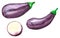 Set of different vegetables, hand drawn watercolor illustration. Eggplant.