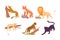 Set of different wild cats. Cheetah, lion, leopard, puma, panther, jaguar cartoon vector illustration