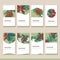 Set with different winter christmas templates with decoration. Cards for your festive design