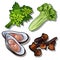 Set of dill, salad, oysters and carnation. Collection of good and healthy products. Vector food.