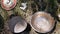 Set of Dishes for Camping, Pot, Bowl, and Frying Pan for Cooking Outdoors