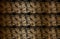 Set of distressed overlay texture of crocodile or snake skin leather, on golden grunge background