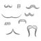 Set with Diverse Mens Moustache Shapes