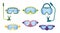 Set of Diving Equipment Snorkeling Masks, Scuba Diver Tools of Different Design. Underwater Glasses, Mouthpiece Tubes