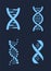 Set of DNA Icon Chains Genetic Personal Codes