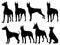 Set of Doberman dog silhouette vector art
