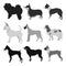 Set of dog breeds