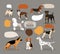 Set of dog breeds with speech bubbles