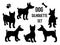 Set Dog silhouette in different poses. Vector illustration isolated on white background. Dog breed Basenji set black